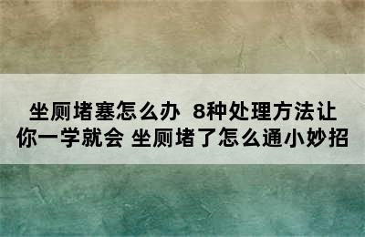 坐厕堵塞怎么办  8种处理方法让你一学就会 坐厕堵了怎么通小妙招